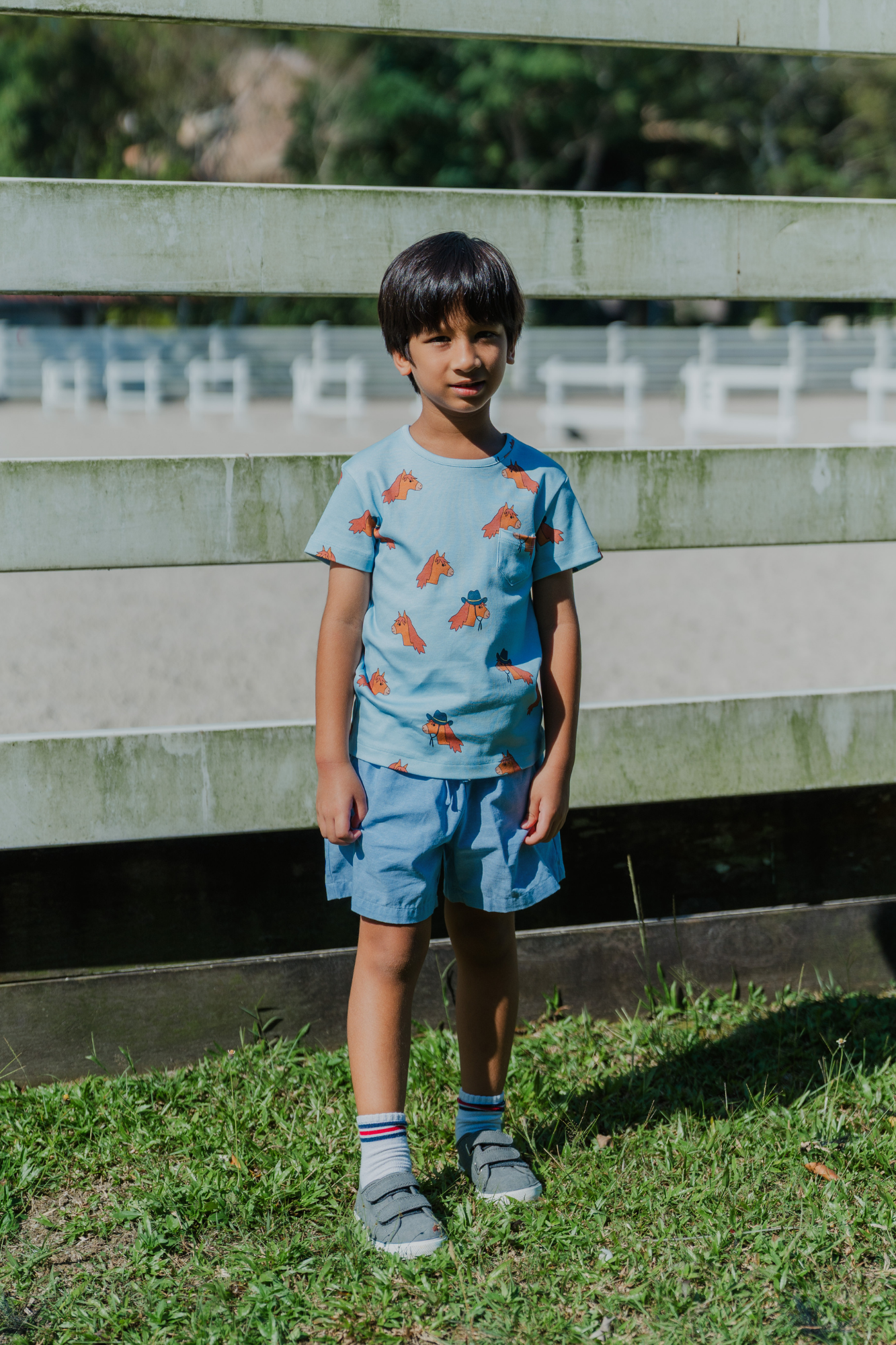 Horse Blue Tshirt
