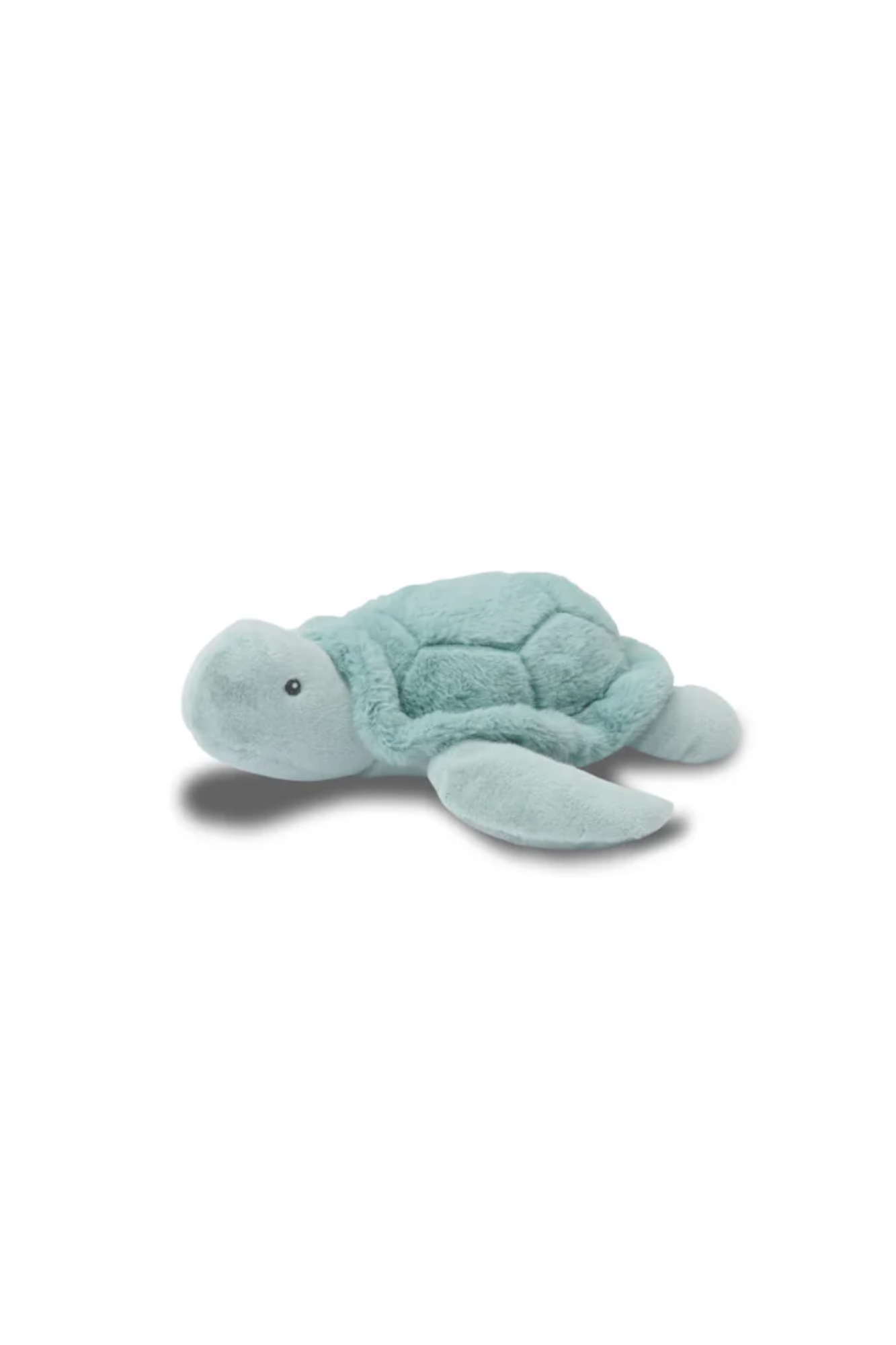 Bubble Toby the Turtle
