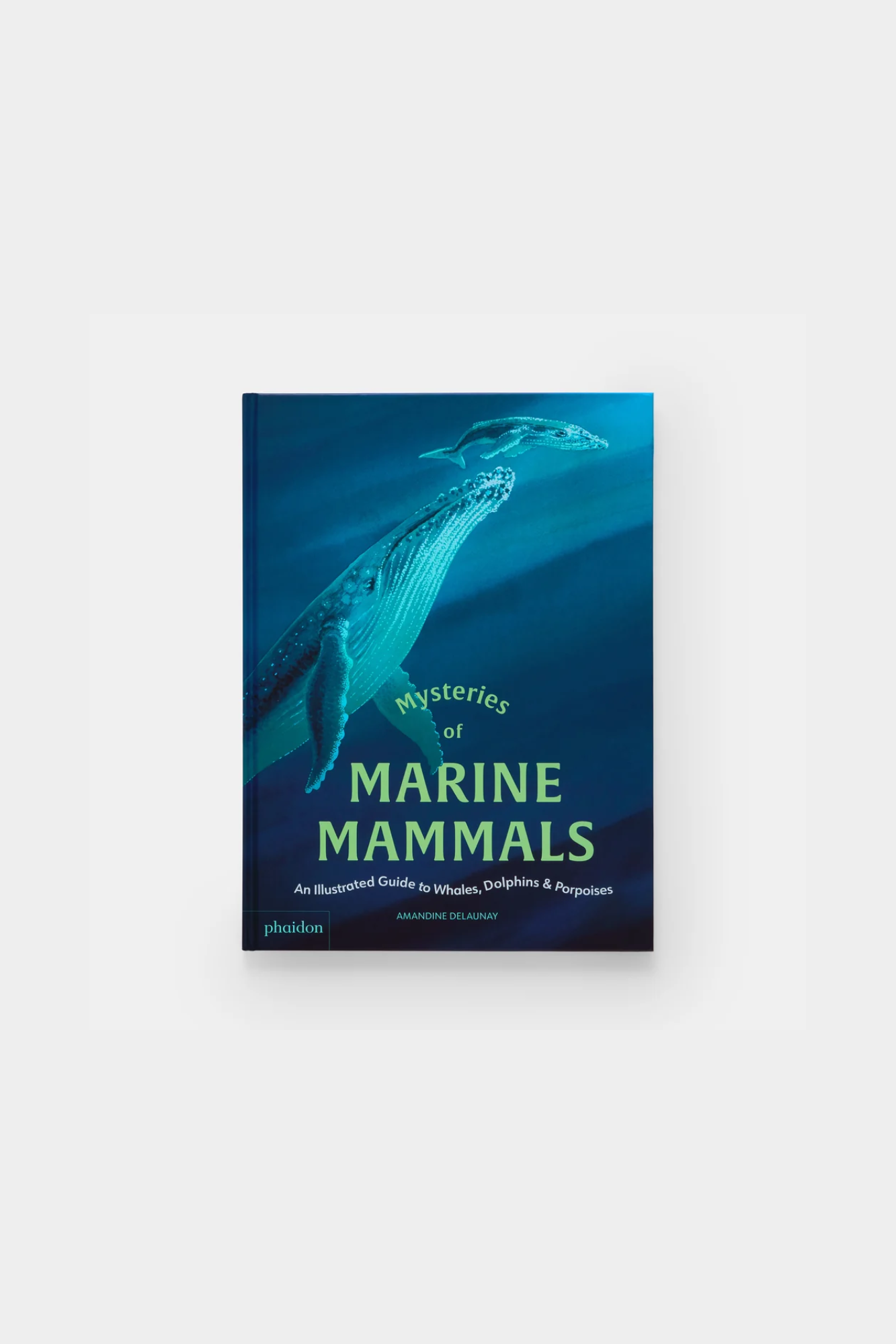 Mysteries of Marine Mammals: An Illustrated Guide to Whales, Dolphins, and Porpoises