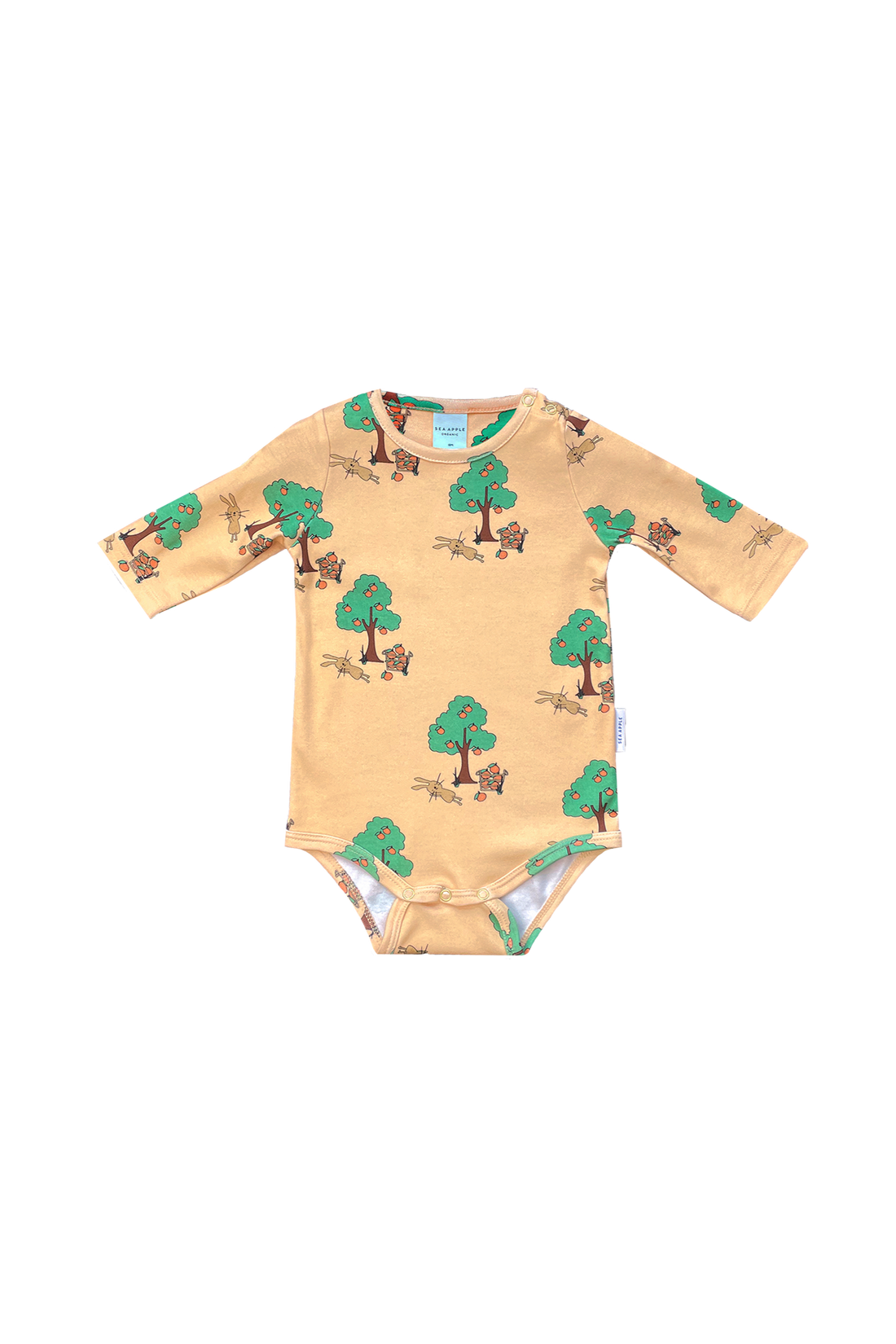 Orange Tree Body