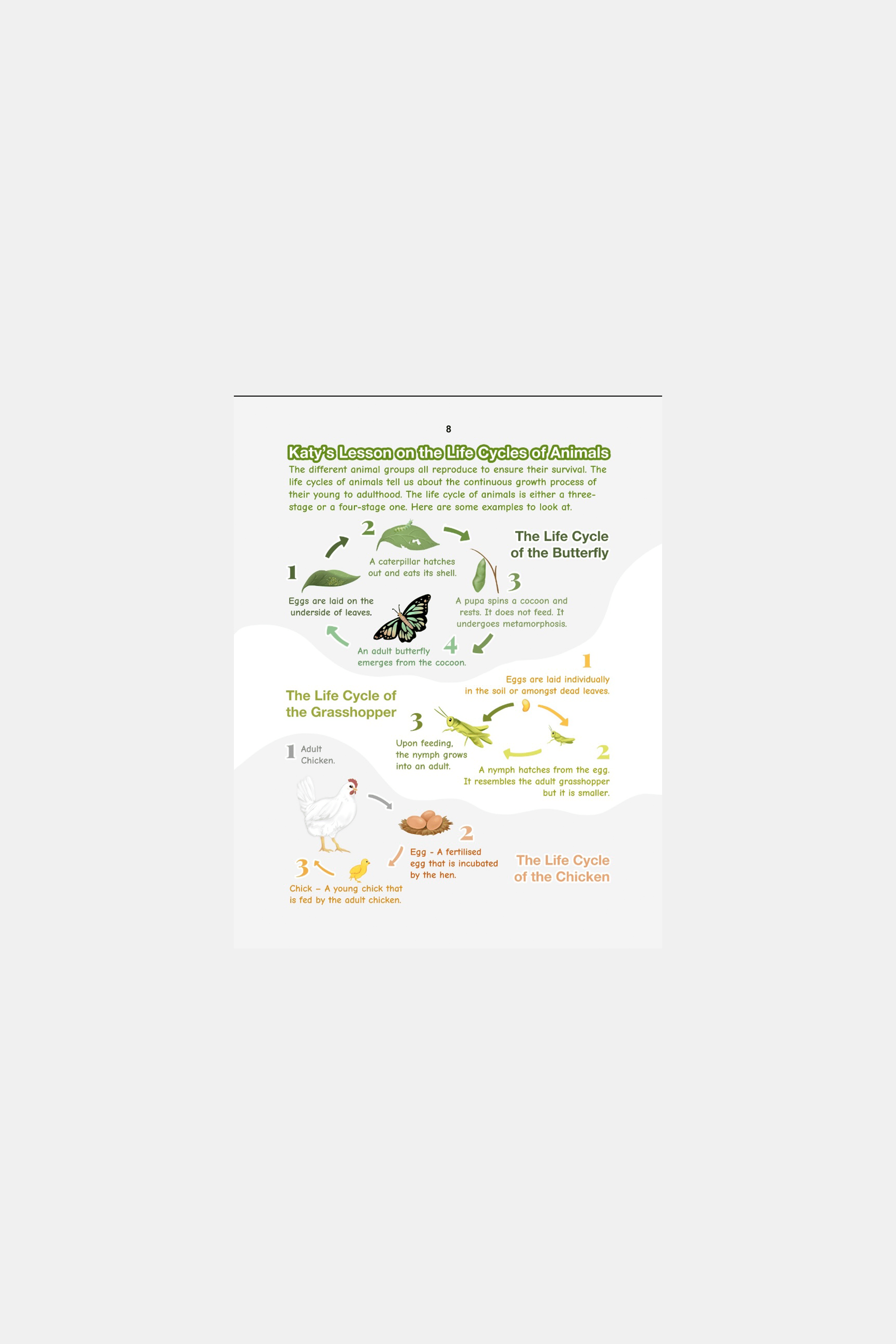 Nuclei Brand Marketing Katy&