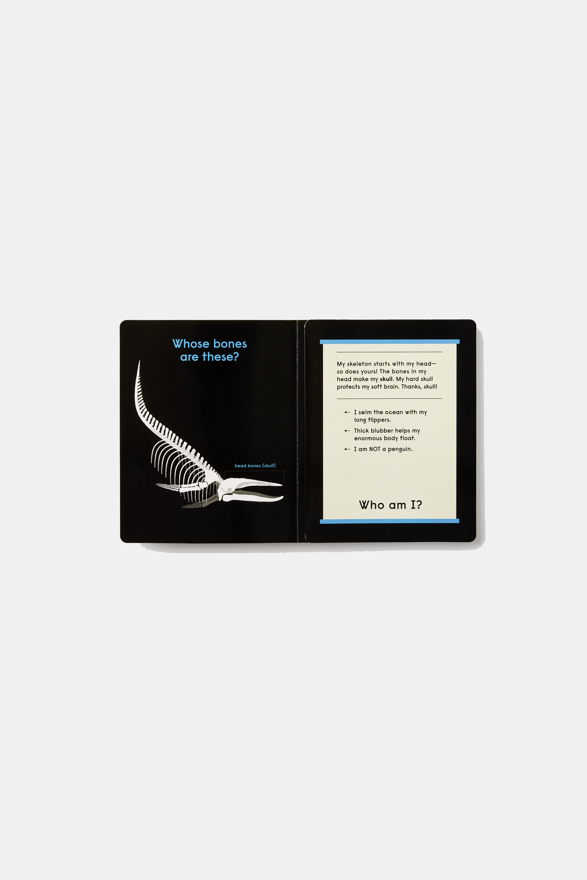 PHAIDON Books Whose Bones?