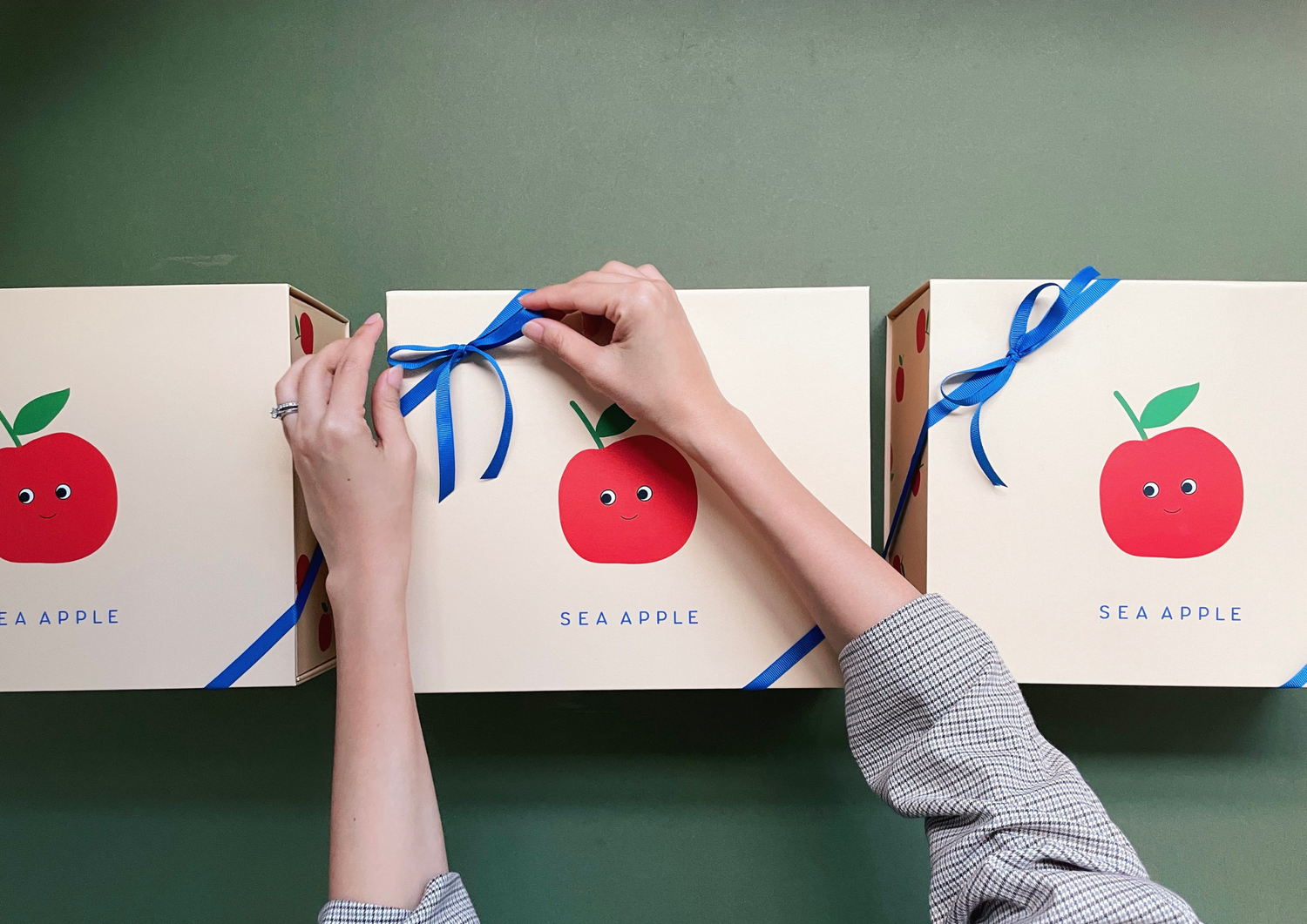 The Sea Apple Magnetic Gift Box