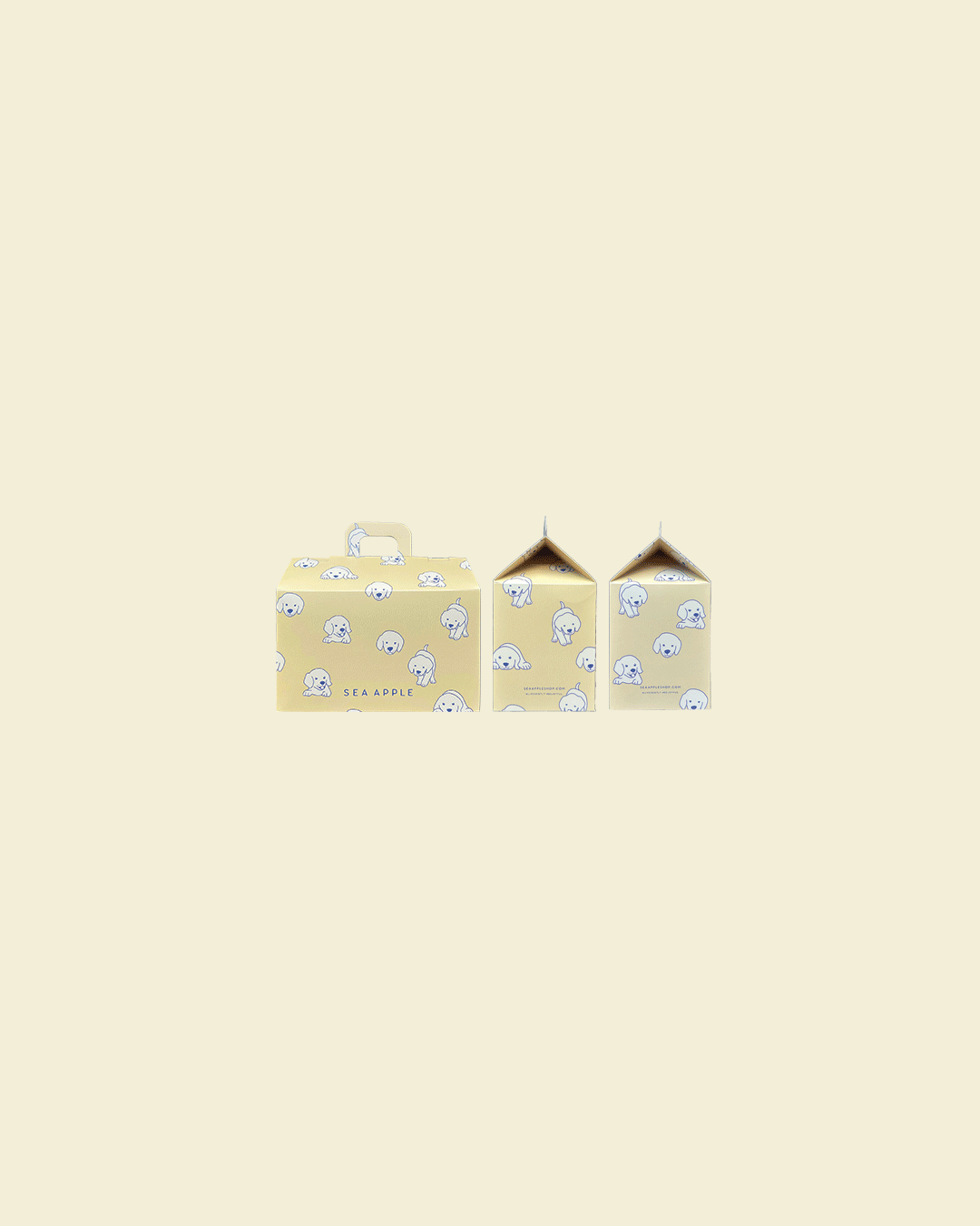 Sea Apple Gift House Box