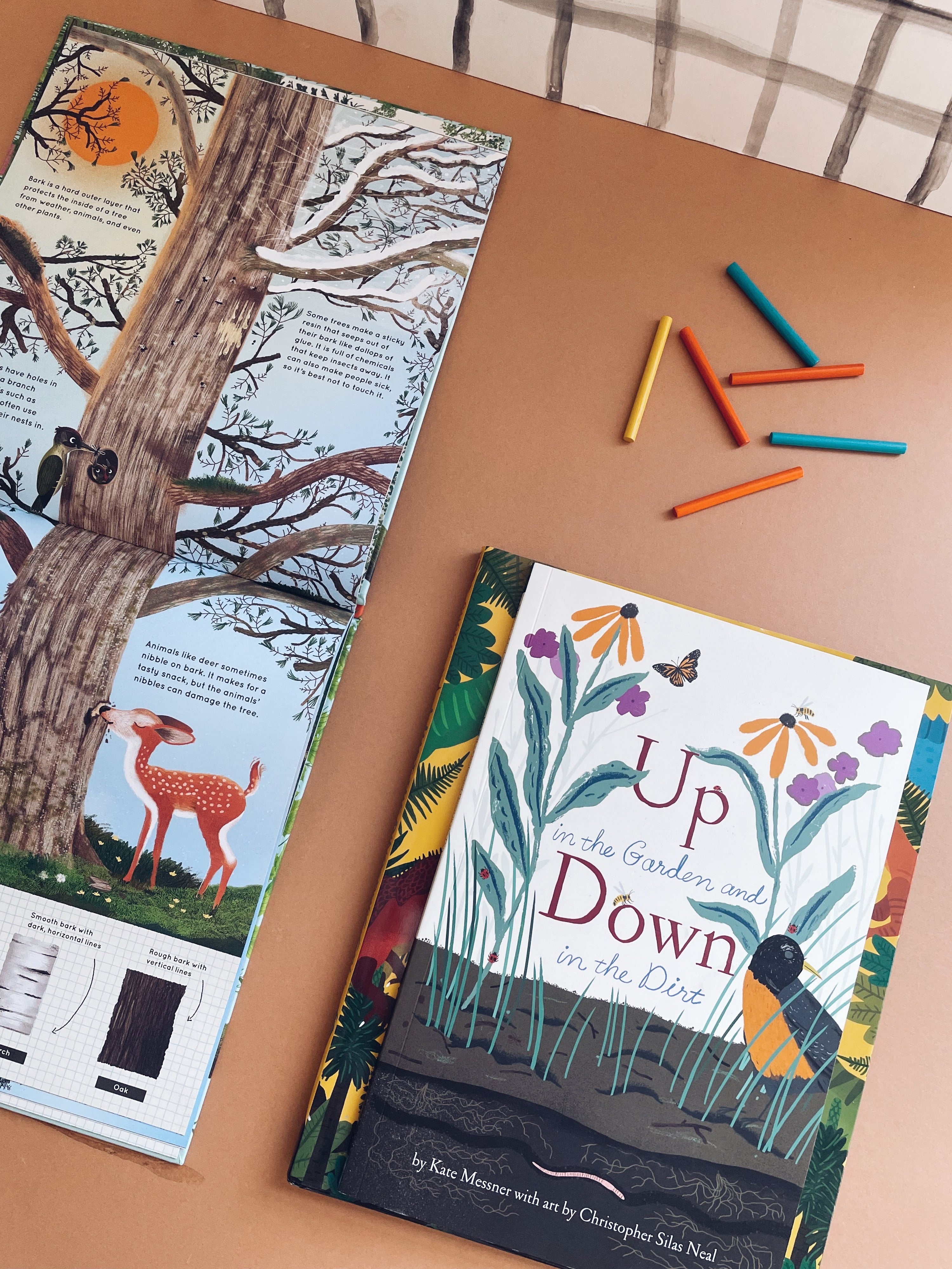 Sea Apple Thoughts: Raising a Reader
