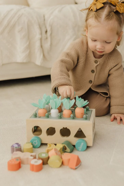 Bubble Wooden Vegetable Garden