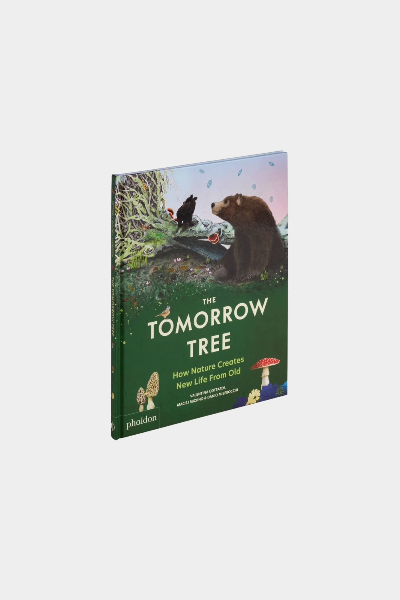 The Tomorrow Tree: How Nature Creates New Life From Old