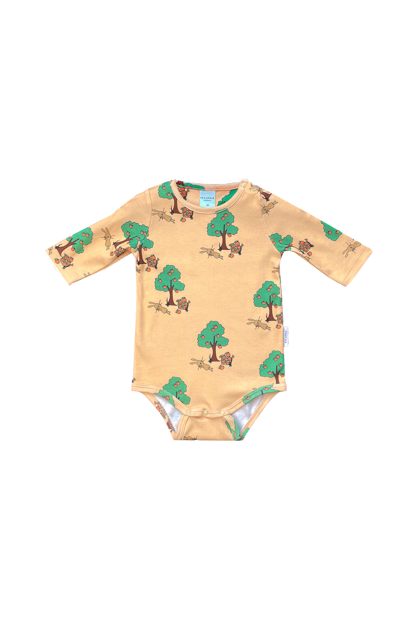 Orange Tree Body