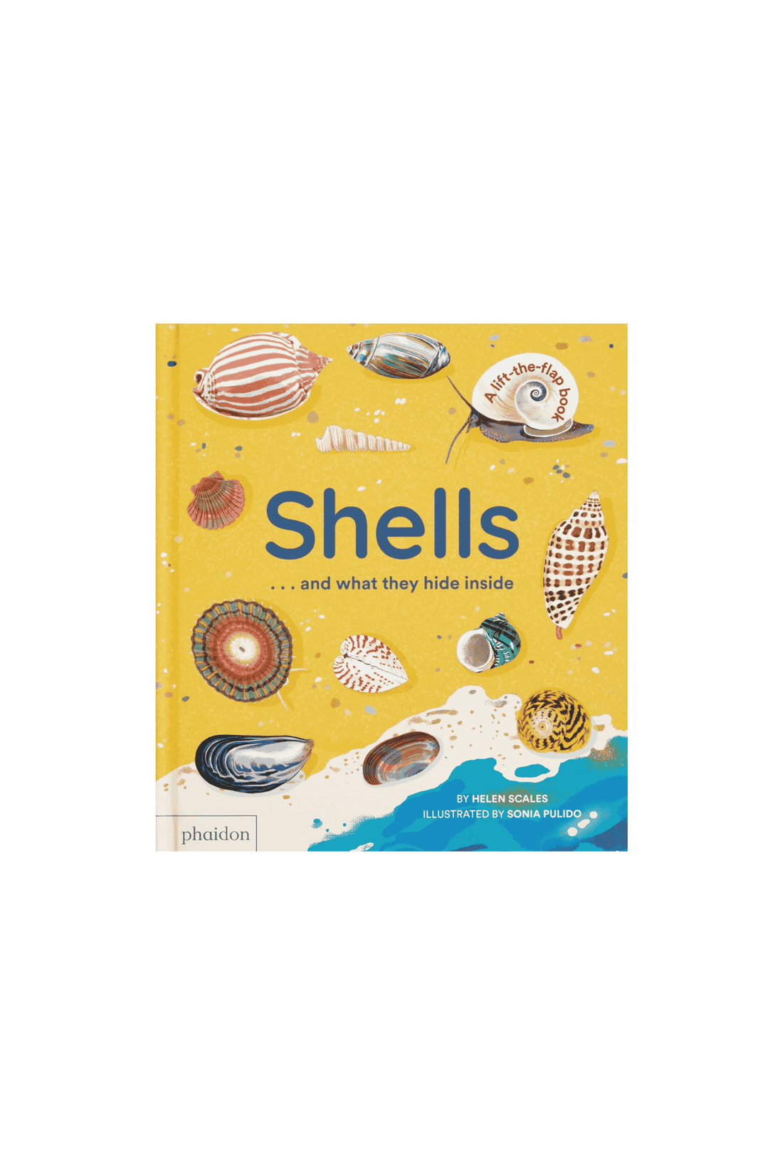 Shells.... And What They Hide Inside