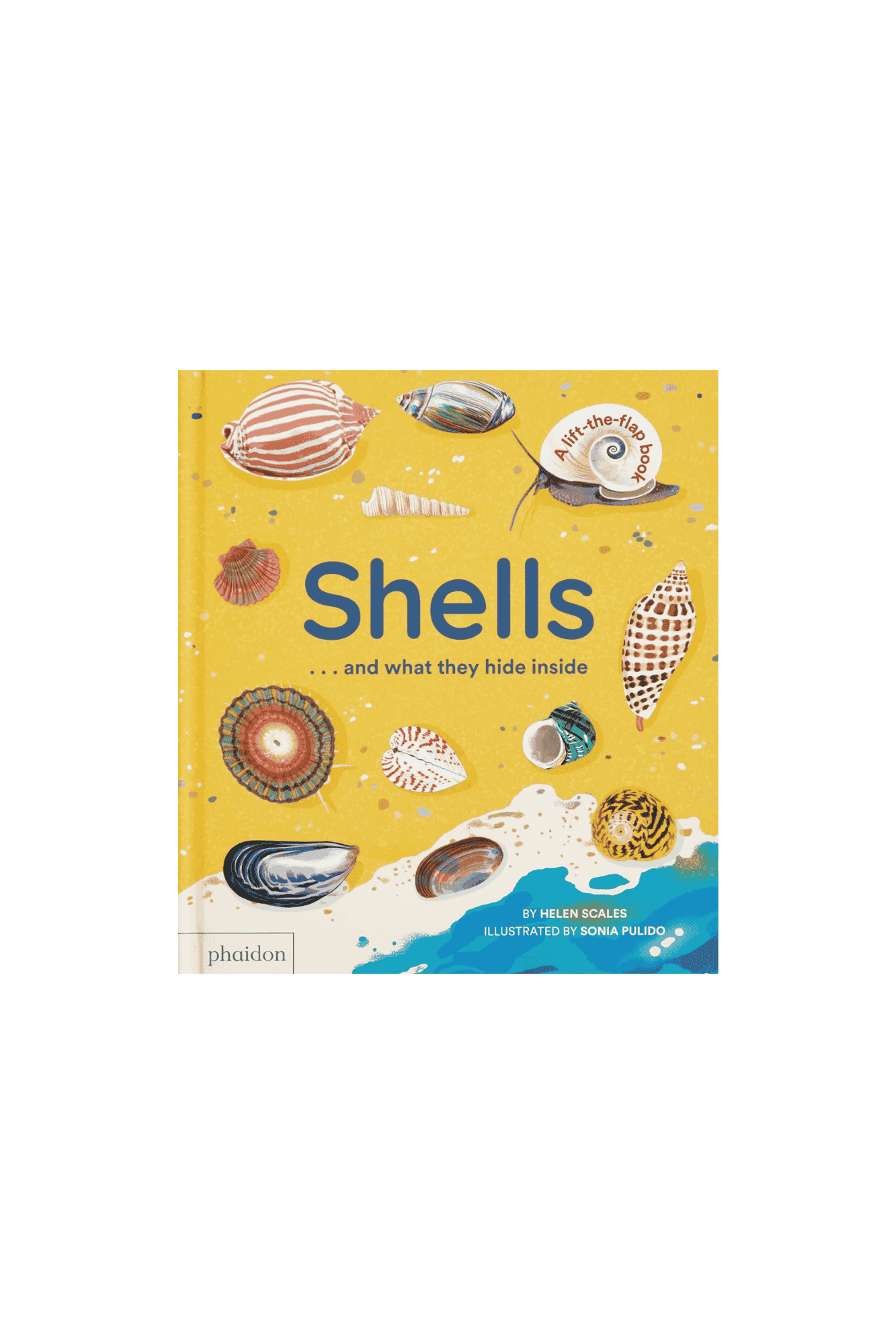 Shells.... And What They Hide Inside
