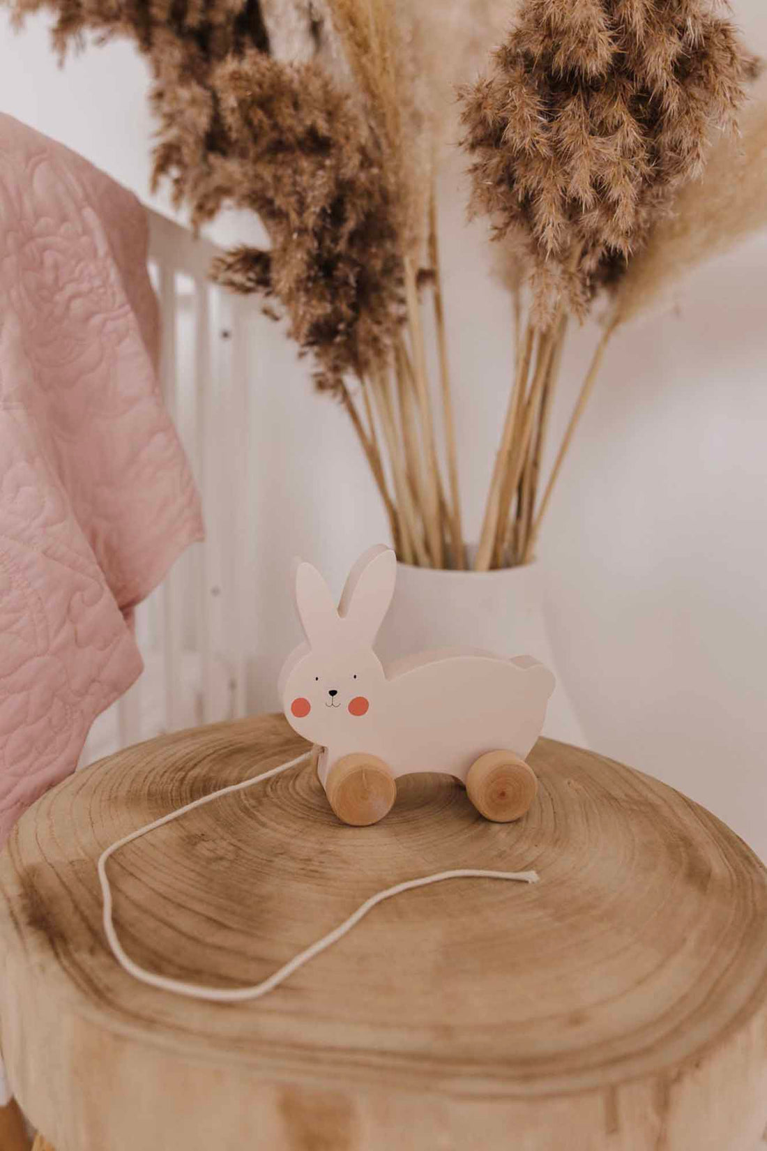 Bubble Wooden Rabbit Pull Along
