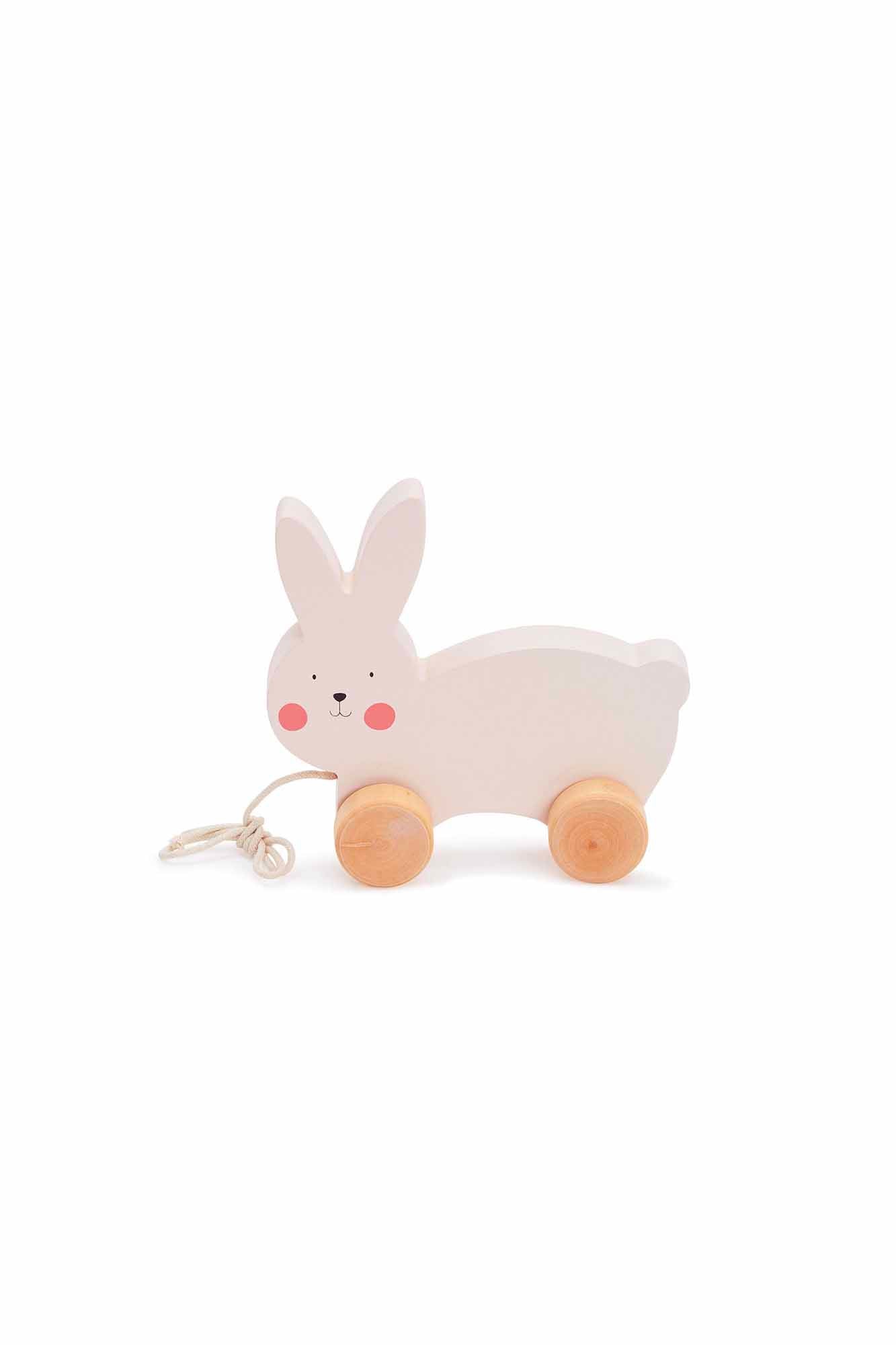 Bubble Wooden Rabbit Pull Along