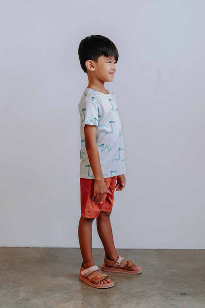 Dragon Walk Tshirt