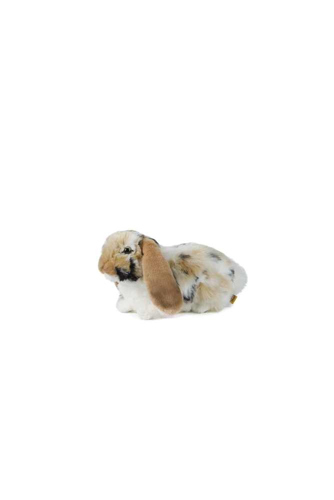 LIVING NATURE Brown Dutch Lop Eared Rabbit - Sea Apple