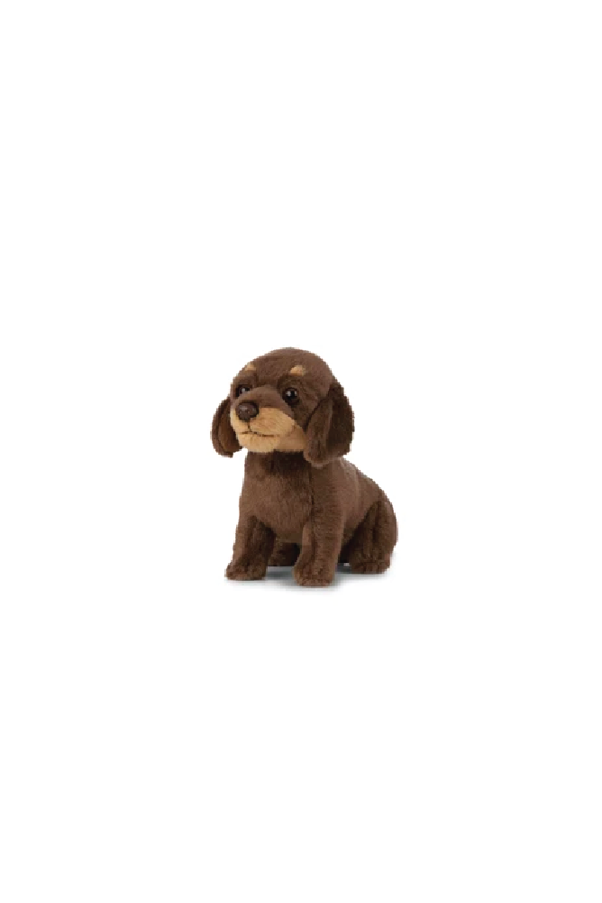 LIVING NATURE Dachshund Puppy - Sea Apple