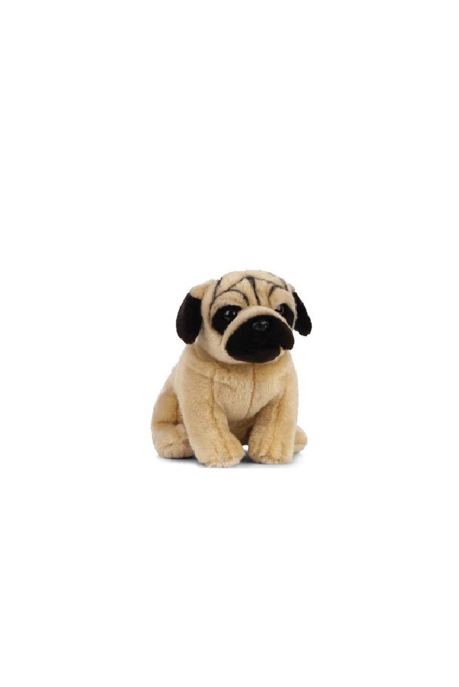 LIVING NATURE Pug - Sea Apple
