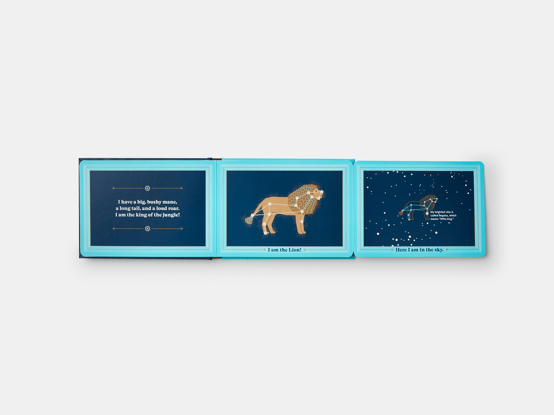 PHAIDON Books Animals in the Sky