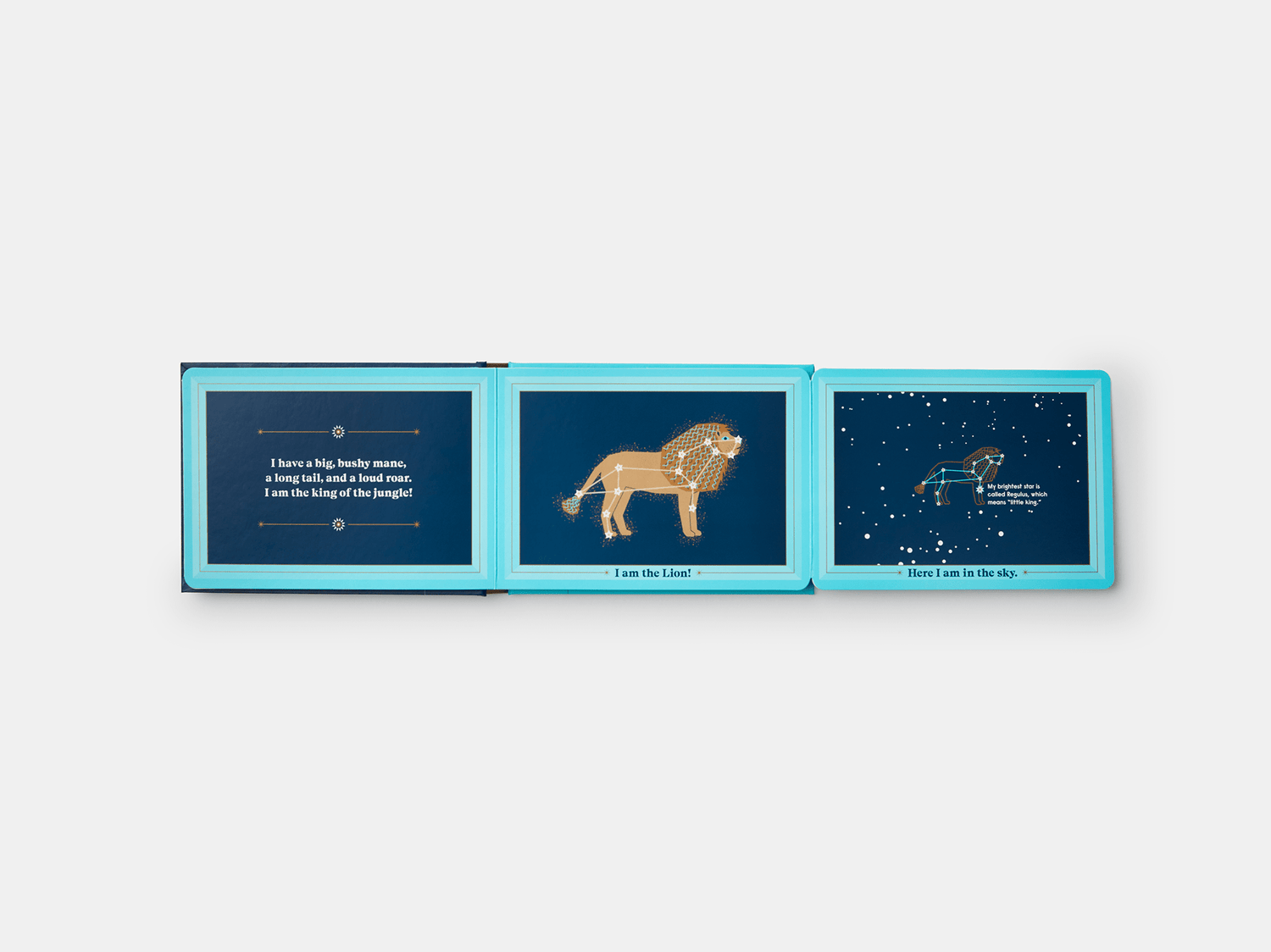 PHAIDON Books Animals in the Sky