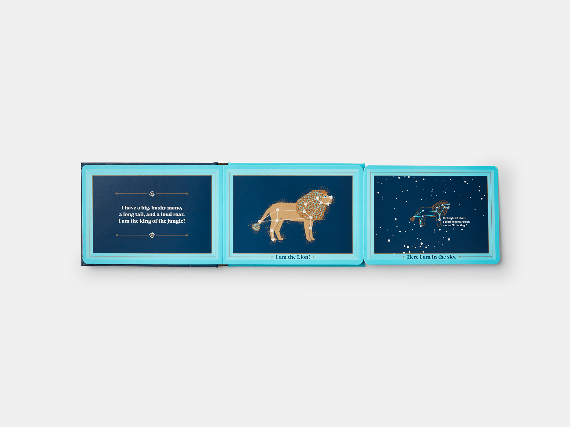 PHAIDON Books Animals in the Sky