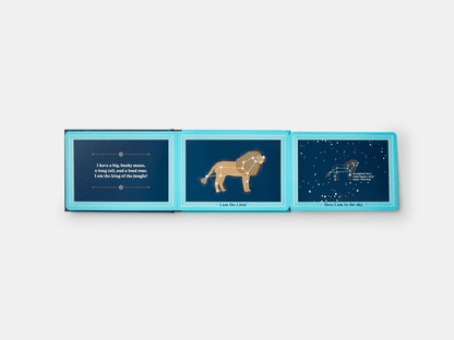 PHAIDON Books Animals in the Sky