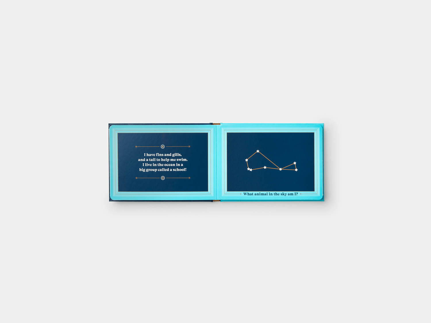 PHAIDON Books Animals in the Sky