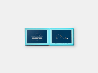 PHAIDON Books Animals in the Sky