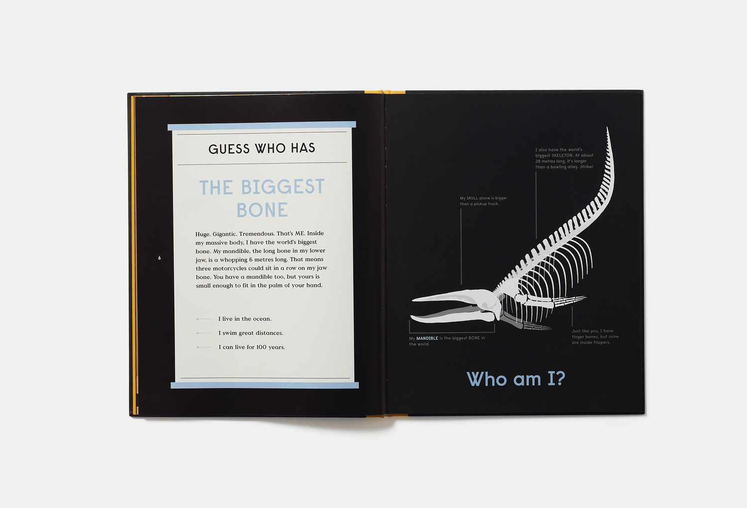 PHAIDON Books Book of Bones