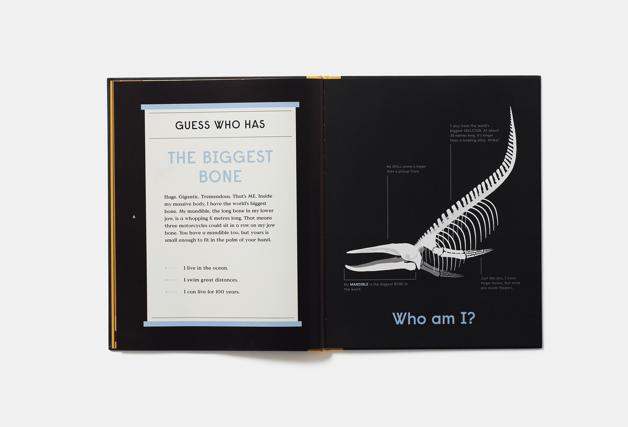 PHAIDON Books Book of Bones