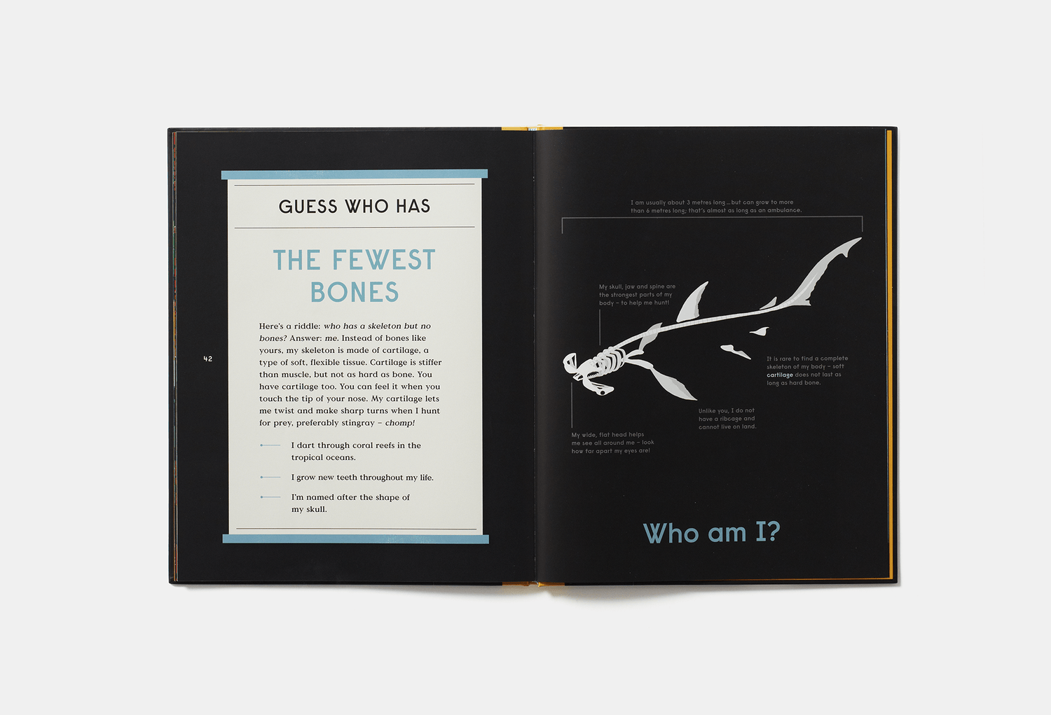PHAIDON Books Book of Bones