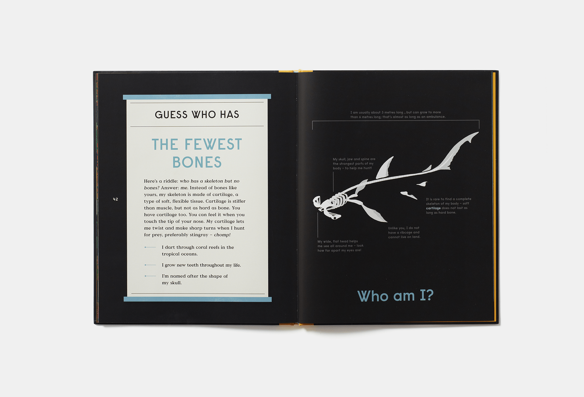 PHAIDON Books Book of Bones