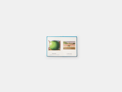 PHAIDON Books My Art Book of Sleep