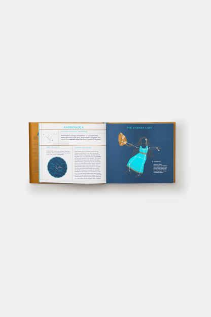 PHAIDON Books Seeing Stars