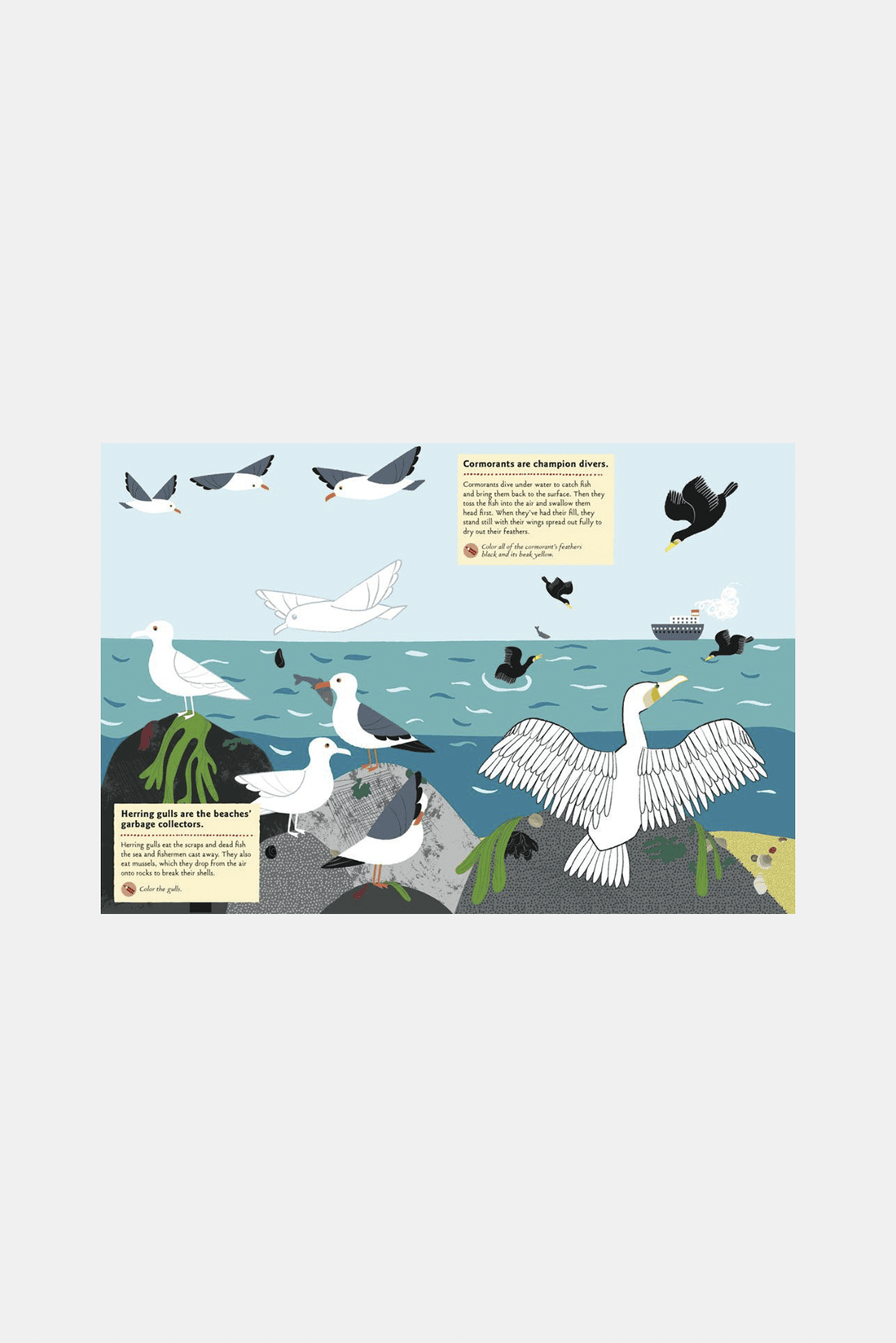Various Publishers Books AT THE SEASHORE - Activity Book Paperback